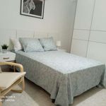 Rent a room in Castelló de la Plana
