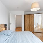 Rent 2 bedroom apartment of 60 m² in Köln