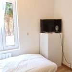 Rent 1 bedroom apartment of 12 m² in Roubaix