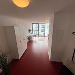 Rent 1 bedroom apartment of 36 m² in Trier