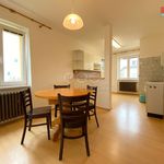 Rent 2 bedroom apartment of 60 m² in Opava