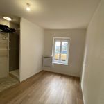 Rent 2 bedroom apartment of 26 m² in Roanne