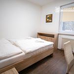 Rent 1 bedroom apartment in Číhošť
