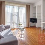 Pronajměte si 5 ložnic/e byt o rozloze 45 m² v Malovice