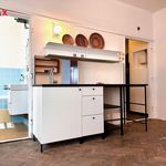 Rent 2 bedroom apartment of 45 m² in Prague