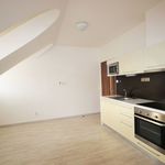 Rent 1 bedroom apartment of 42 m² in Ostrava