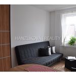 Rent 1 bedroom apartment of 21 m² in České Budějovice