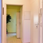 Miete 2 Schlafzimmer haus von 66 m² in Bonn