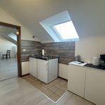 Rent 1 bedroom apartment of 35 m² in Mannheim