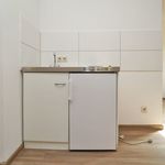 Rent 1 bedroom apartment of 33 m² in Dresden