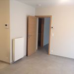Rent 1 bedroom apartment in Sint-Katelijne-Waver