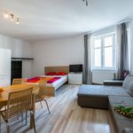 Rent 1 bedroom apartment of 35 m² in Lodz