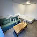 Rent 1 bedroom apartment of 2700 m² in Ioannina