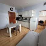 Rent 1 bedroom apartment of 27 m² in Lille