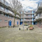 Rent 1 bedroom house of 53 m² in Alphen aan den Rijn