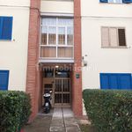 Rent 4 bedroom apartment of 70 m² in Pescara