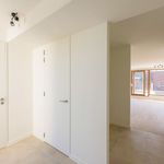Rent 1 bedroom apartment in Deerlijk
