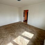 Pronajměte si 1 ložnic/e byt o rozloze 63 m² v Horní Slavkov