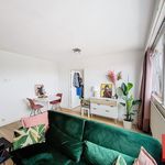 Rent 1 bedroom apartment in Kortenberg