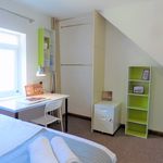 Rent 7 bedroom student apartment in Coventry