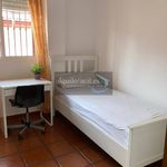 Alquilar 3 dormitorio casa en Murcia