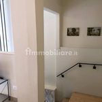 Rent 2 bedroom apartment of 50 m² in Teramo
