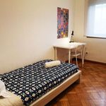 Alugar 5 quarto apartamento em Porto