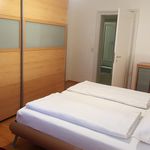 Rent 3 bedroom apartment of 90 m² in Heidelberg