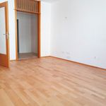 Rent 2 bedroom apartment of 52 m² in Oberndorf an der Melk