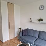 Rent 1 bedroom apartment of 24 m² in Cologne