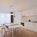 Rent 2 bedroom apartment of 80 m² in Auderghem