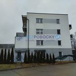 Rent 2 bedroom apartment of 39 m² in Havlíčkův Brod