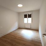 Rent 4 bedroom apartment of 120 m² in Pamplona