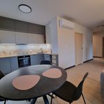 Rent 3 bedroom apartment of 62 m² in Poznań