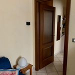 Affitto 3 camera appartamento di 65 m² in Torino