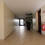 Rent 1 bedroom apartment of 79 m² in Segrate