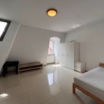 Rent 4 bedroom apartment of 115 m² in Szczecin