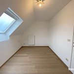 Rent 4 bedroom house in Zedelgem