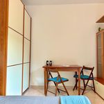 Rent 1 bedroom apartment of 34 m² in Milano