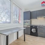 Rent 1 bedroom apartment of 31 m² in Prostějov