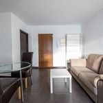 Rent 2 bedroom apartment of 50 m² in Málaga
