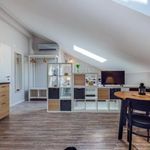 Najam 5 spavaće sobe stan od 124 m² u Rijeka