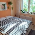 Rent 1 bedroom apartment of 16 m² in Píšťany