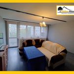 Rent 2 bedroom apartment of 50 m² in Sosnowiec