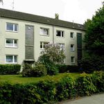 Rent 1 bedroom apartment of 36 m² in Aachen
