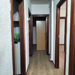 Alquilo 3 dormitorio apartamento de 60 m² en Valladolid
