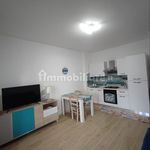 Rent 2 bedroom apartment of 45 m² in Cerveteri