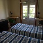 Rent 5 bedroom apartment in Braga