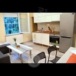 Rent 3 bedroom apartment of 50 m² in Budapest