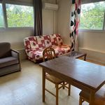 Rent 1 bedroom apartment of 28 m² in Saint-Didier